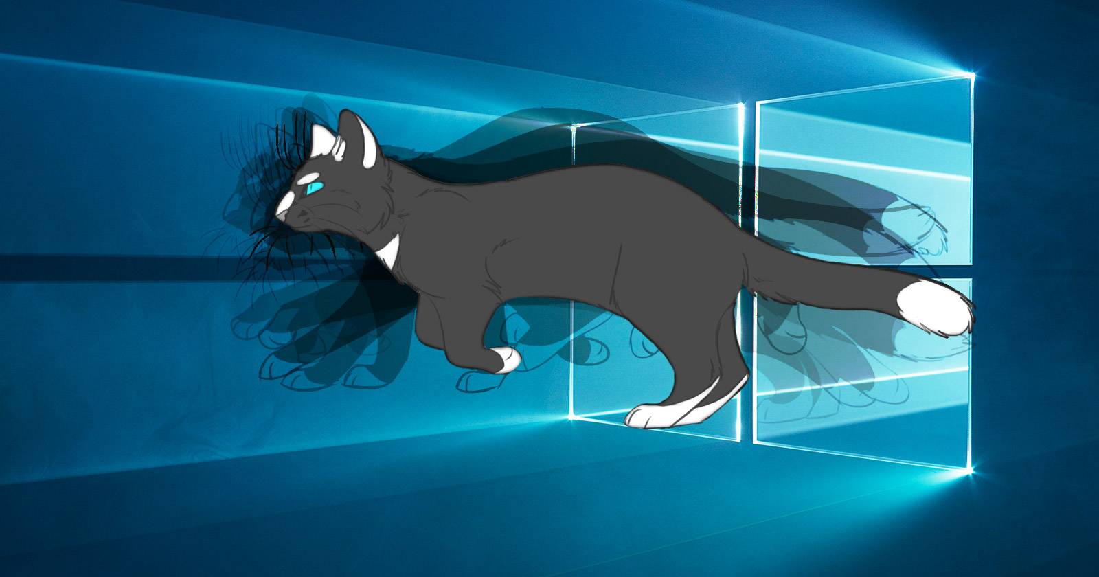 How to Use an Animated GIF as Your Desktop Wallpaper With Rainmeter, image size:1600x840