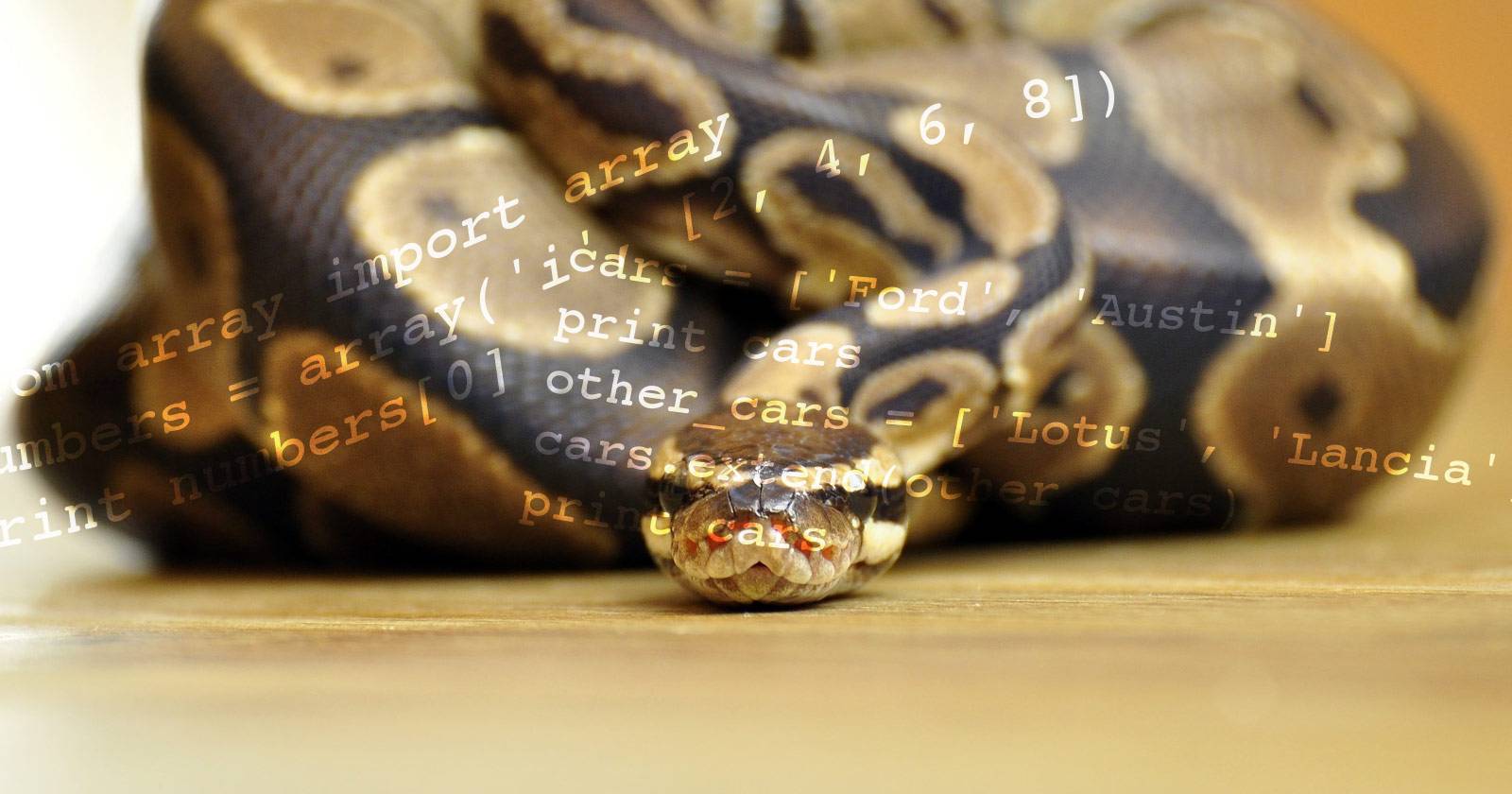 How Arrays and Lists Work in Python