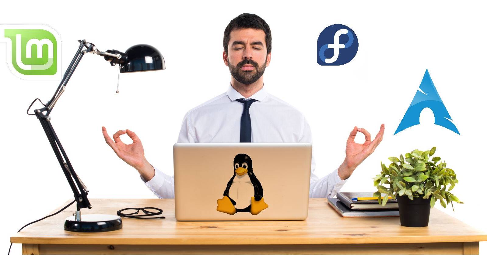 Why It Doesn't Matter Which Linux Operating System You Use