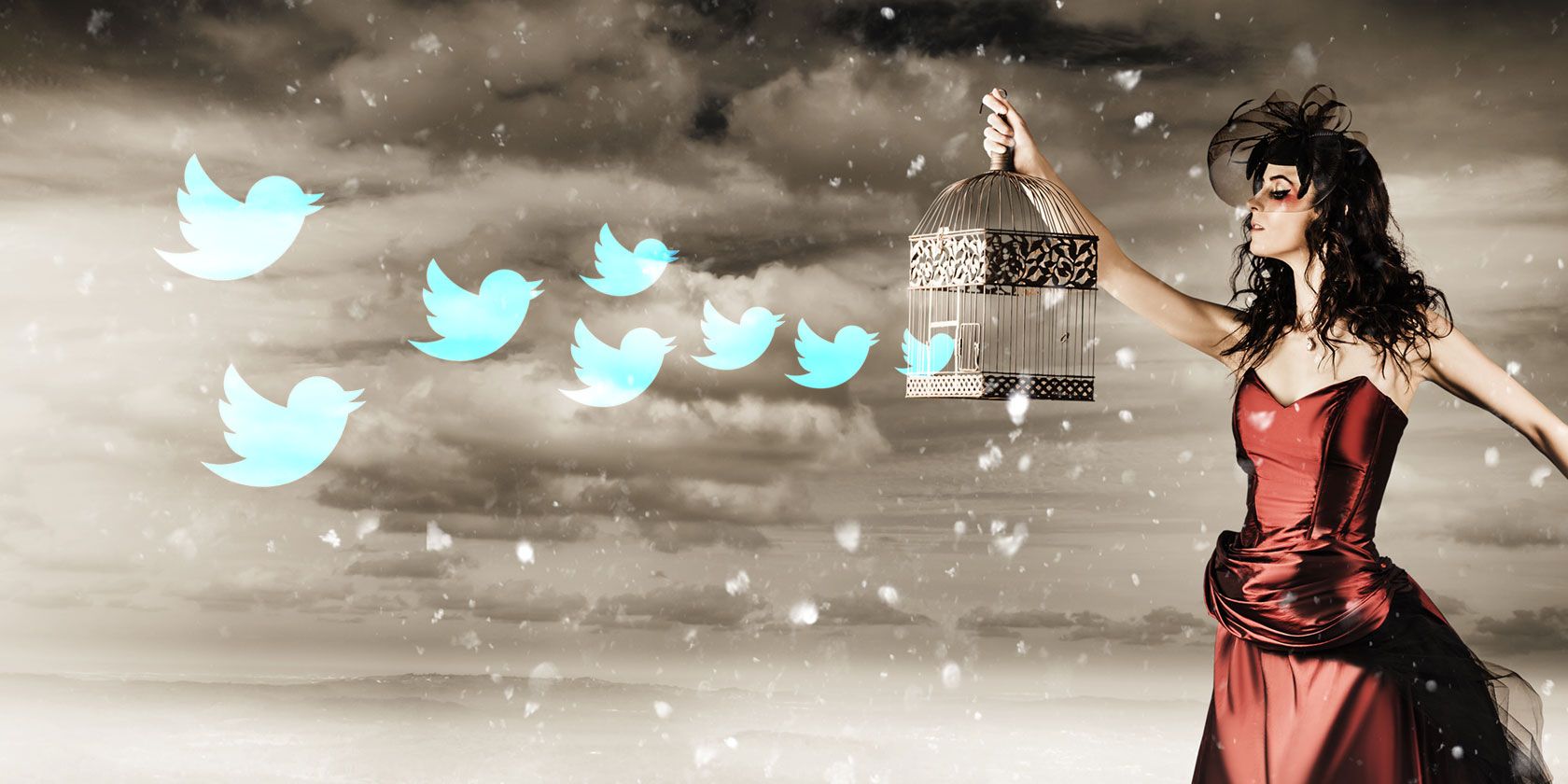 Use These Great Twitter Tools to Manage Your Feed