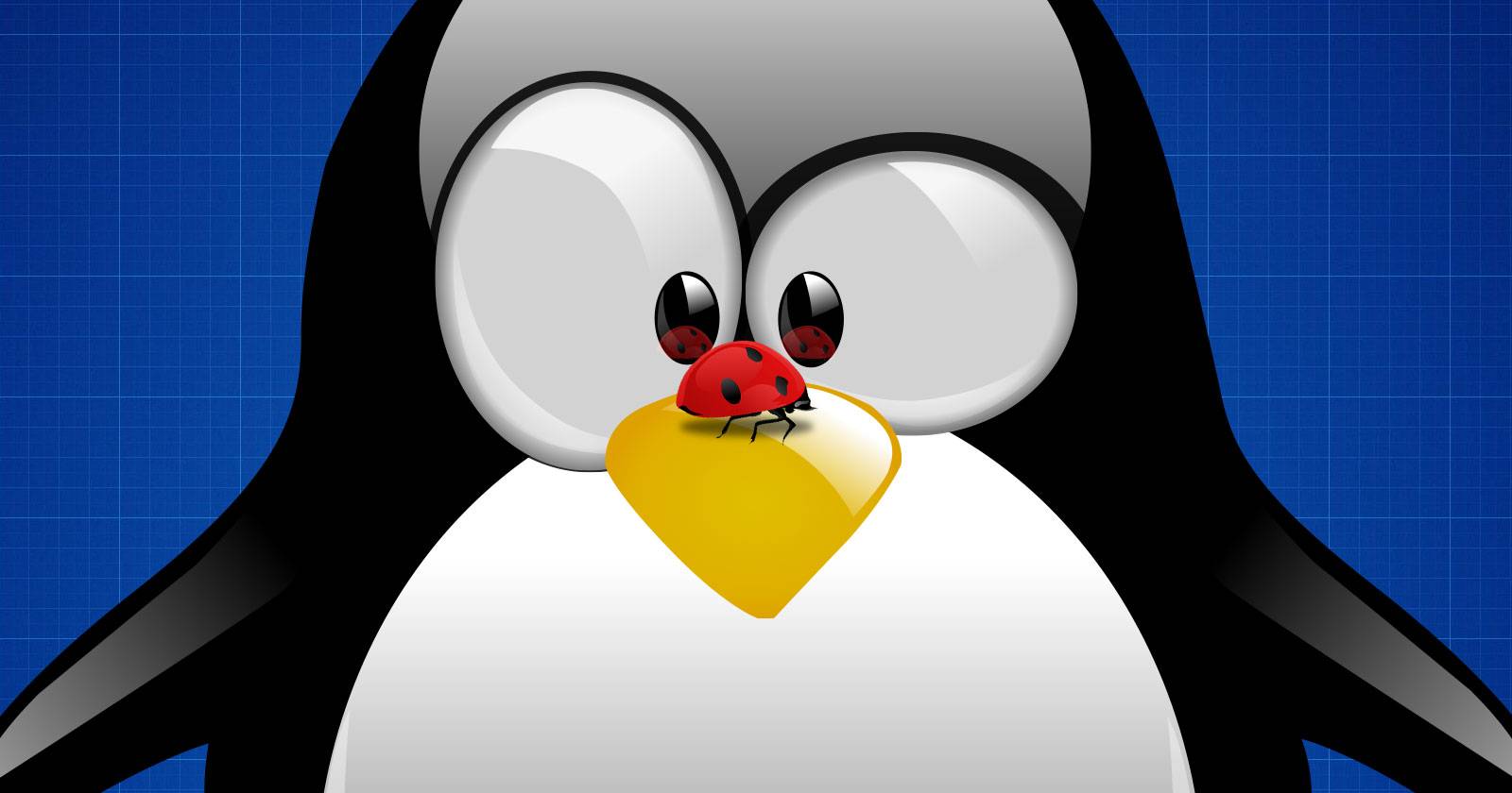 6 Reasons Your Favorite Linux OS Is Plagued by Bugs