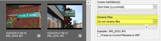How to Download Photos From Your Camera With Adobe Bridge