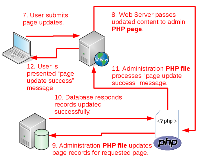 Everything You Need to Know About Content Management Systems