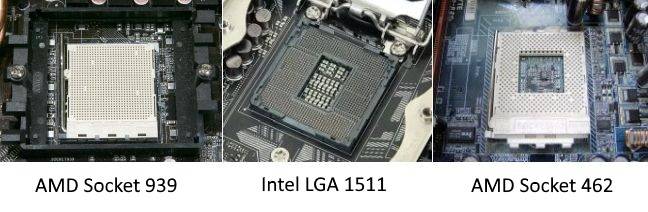 The Ultimate Guide to Your PC: Everything You Wanted to Know -- and More
