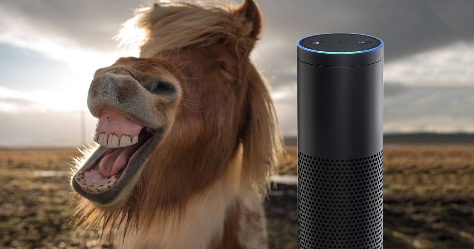 The Funniest Questions You Can Ask Alexa