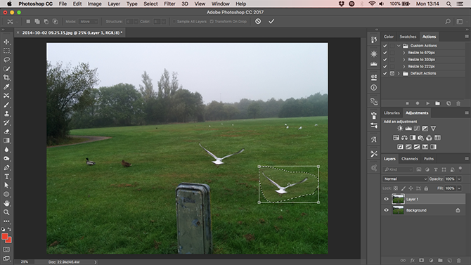 Move File Picture Learn Photo Editing in Photoshop: Get the Basics Down in 1 Hour