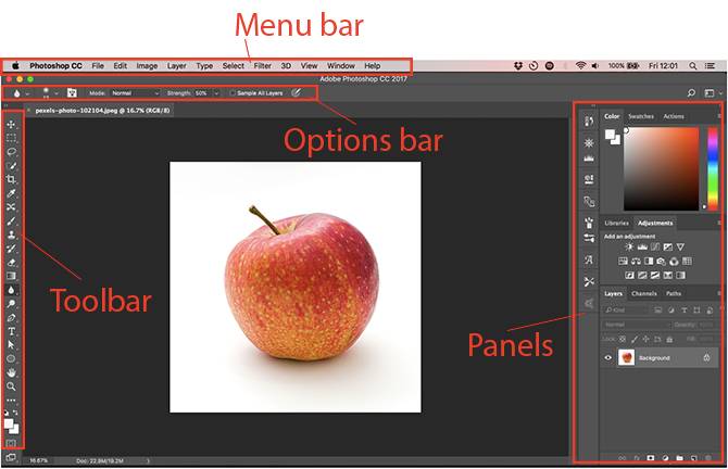Program Photoshop Learn Photo Editing in Photoshop: Get the Basics Down in 1 Hour