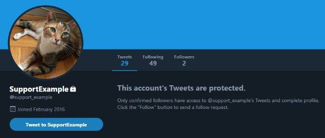 Twitter Account Protectedf How to Use Twitter