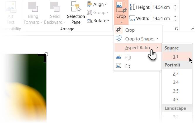 3 Ways to Crop an Image Using Microsoft PowerPoint