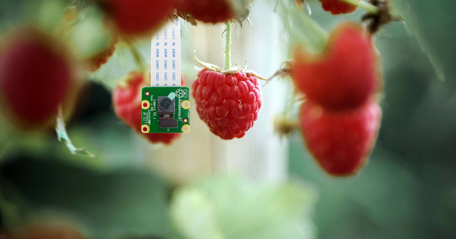 How to Set Up a Raspberry Pi Camera Module