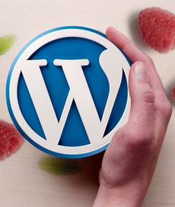 How to Set Up Your Raspberry Pi as a Web Server