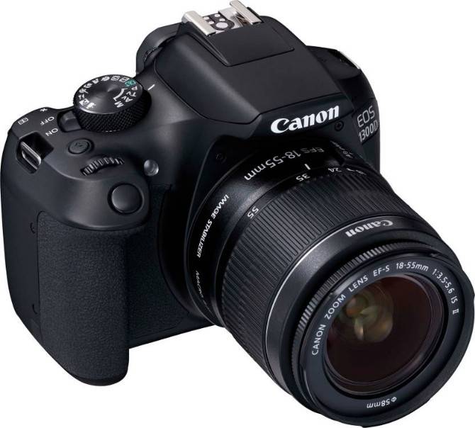 The 6 Best Cheap Cameras for Photography