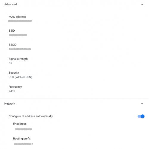 chrome network info screen