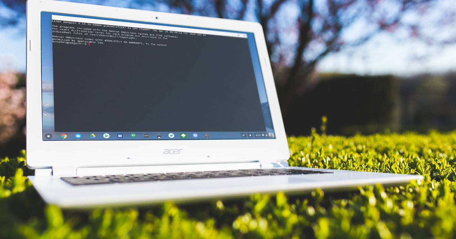 21 Crosh Terminal Commands All Chromebook Users Should Know