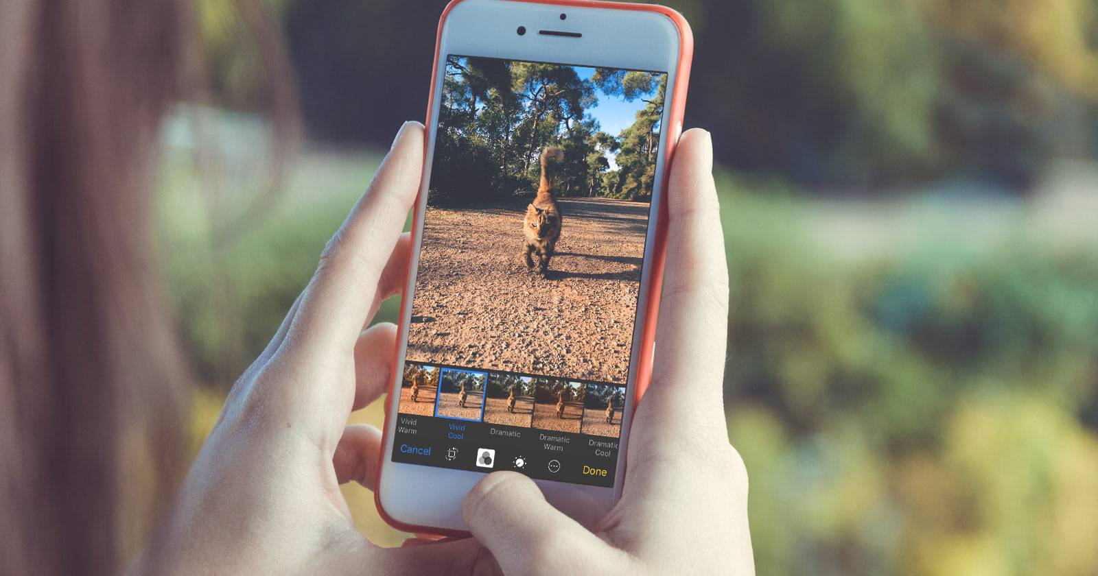 How to Add Filters to iPhone Pictures the Easy Way