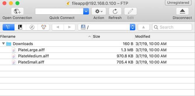How to Transfer Files From PC to iPhone and iPad (And Vice Versa)