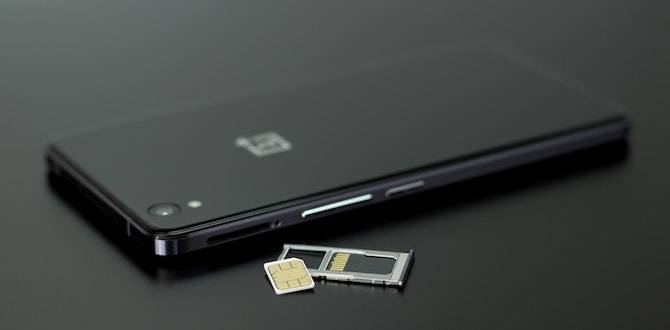 What Is a SIM Card and What Does It Do?