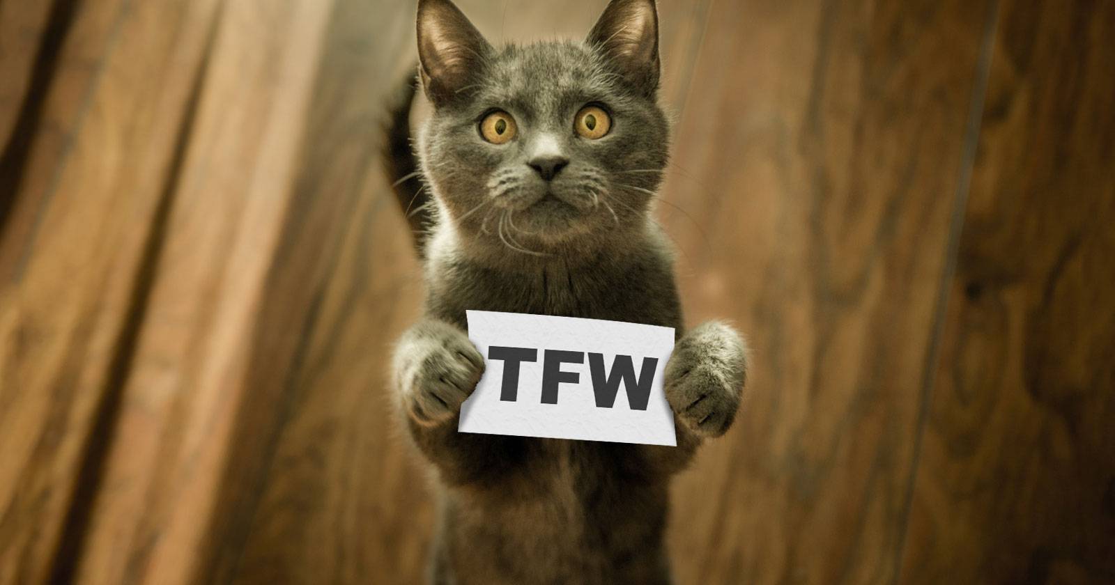Tfw Signs What Does TFW Mean? The TFW Acronym Explained