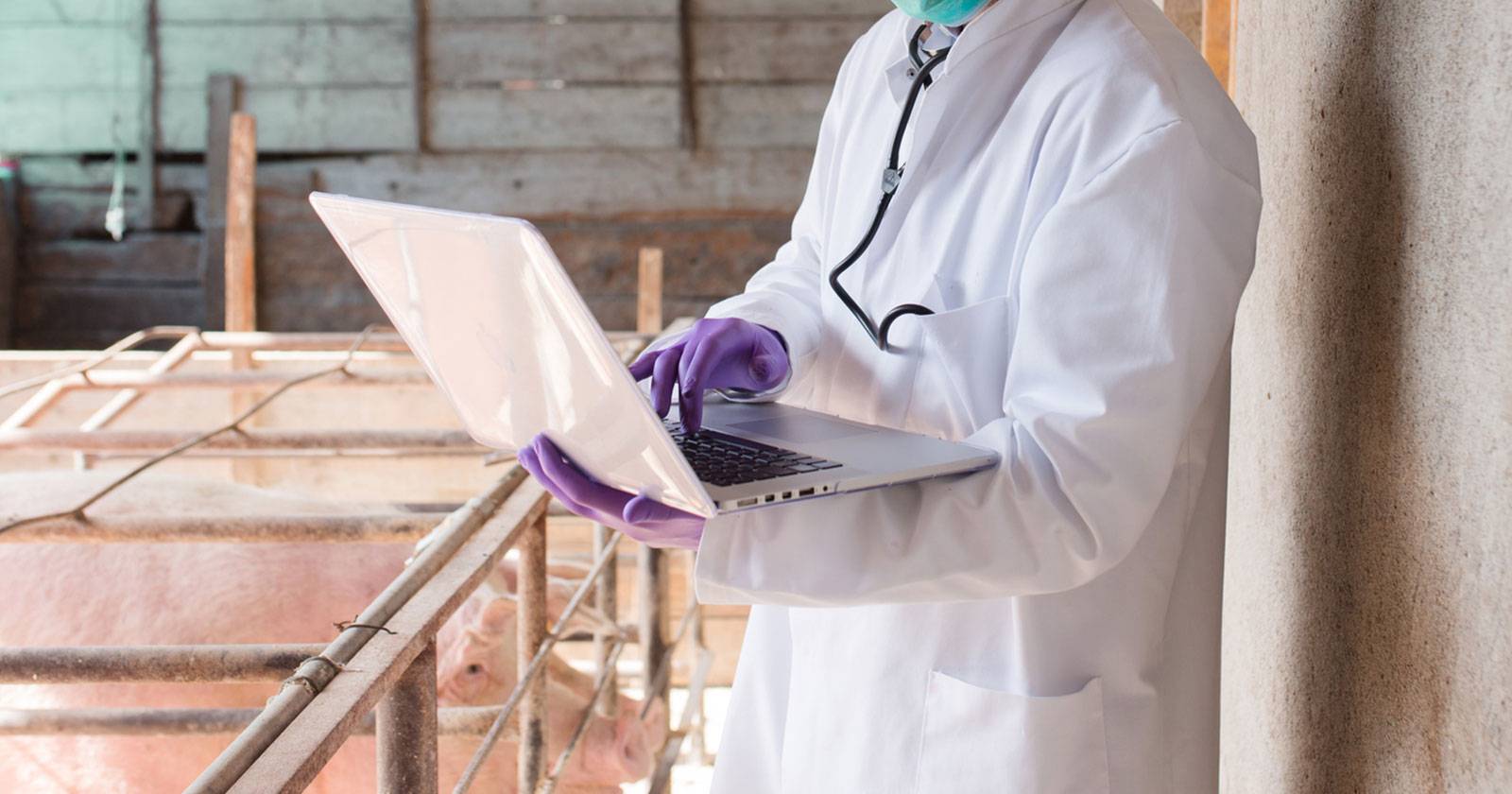 Computer Infecte How to Safely Clean an Infected Computer and Copy Your Files