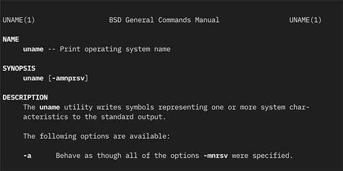 Unix vs. Linux: The Differences Between and Why It Matters