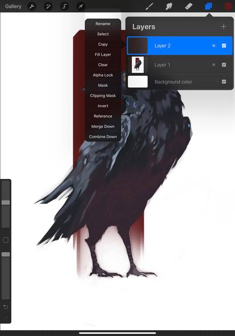 procreate layer options