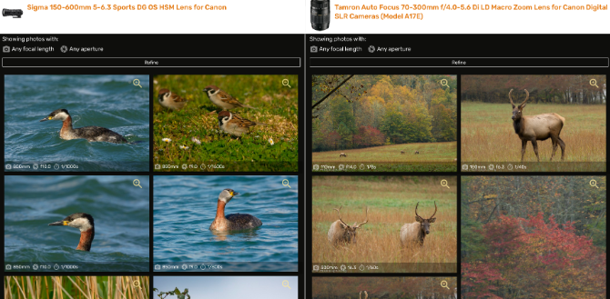 5 Photography Apps and Guides to Find the Best Lens for Your Camera