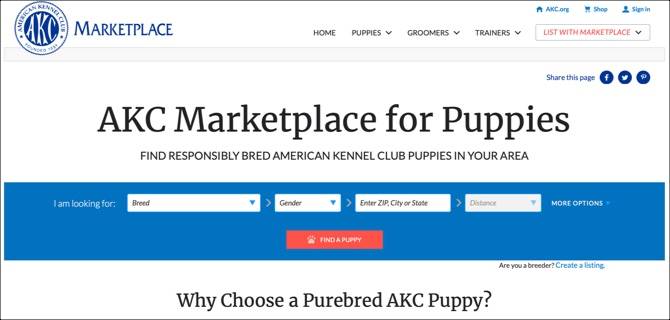Where To Find Puppies For Sale 10 Ethical Sites For Puppy Adoption