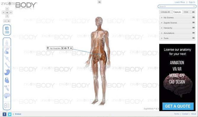 Body Exploration The 6 Best Virtual Tours of the Human Body for Interactive Anatomy