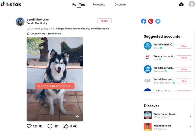How to Use TikTok on Your PC or Mac