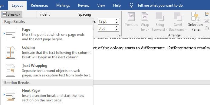 How to Number Your Microsoft Word Document