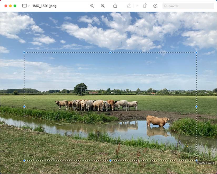 Cropping an image in Preview