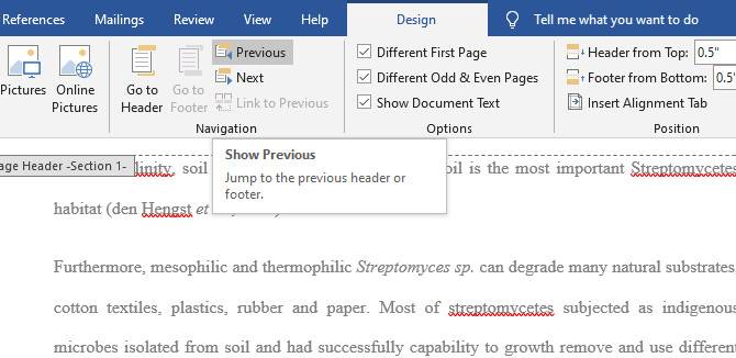 How to Number Your Microsoft Word Document