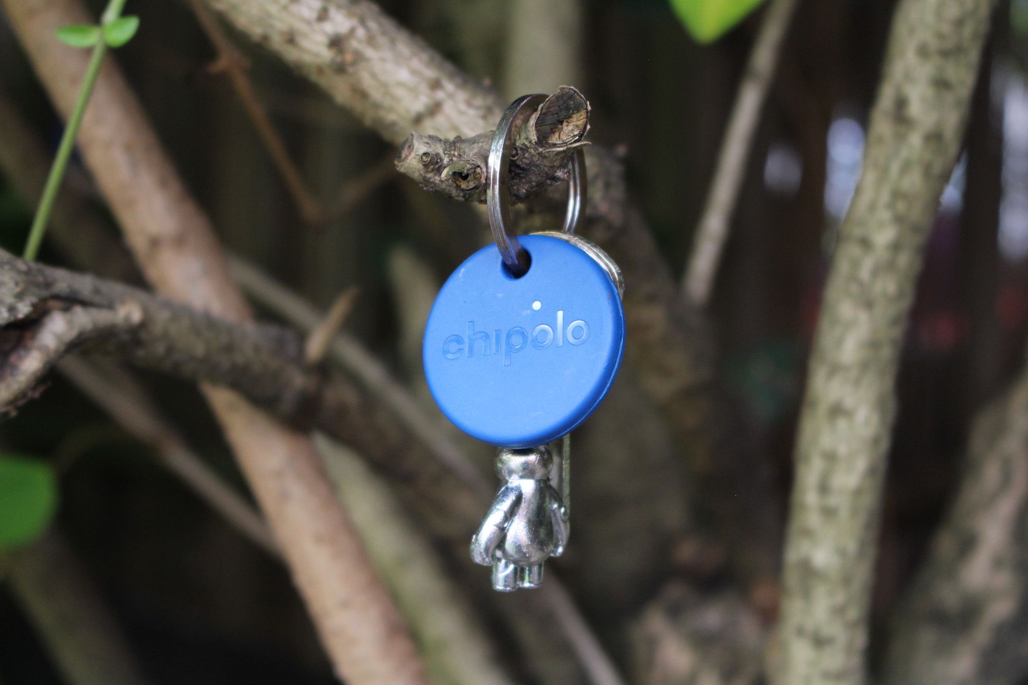 Chipolo ONE Ocean Edition in a tree