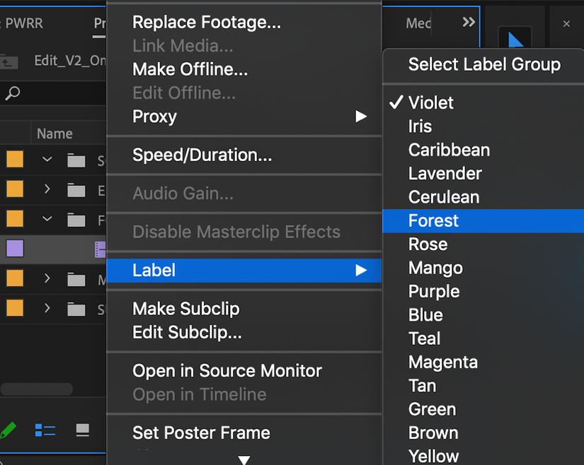 5 Ways to Keep Projects Organized in Adobe Premiere Pro