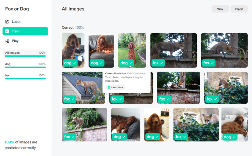 How to Create a Machine Learning Model With Microsoft Lobe