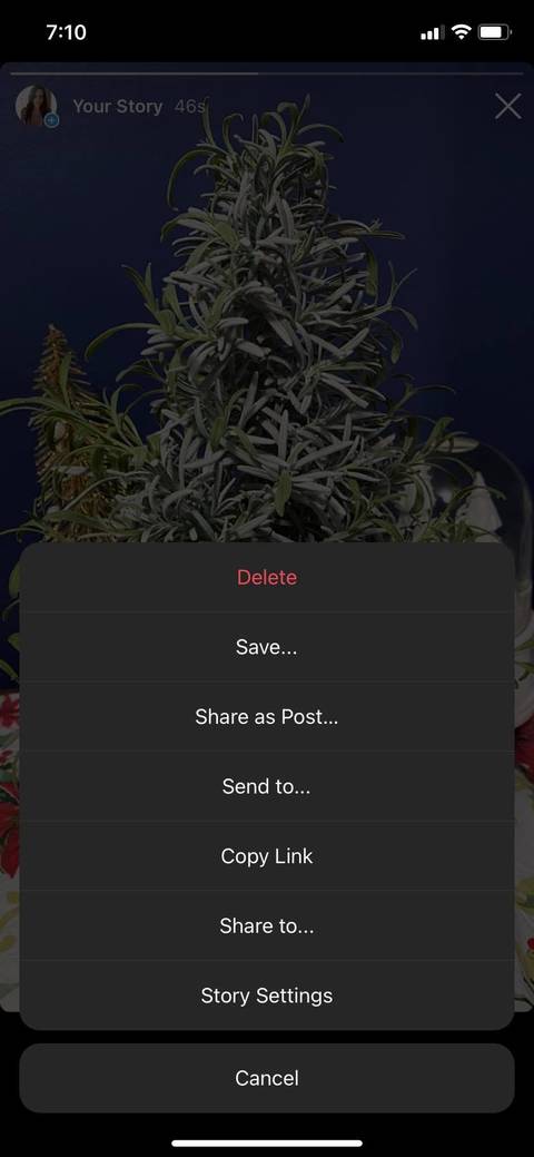 Screenshot of Instagram story sharing options