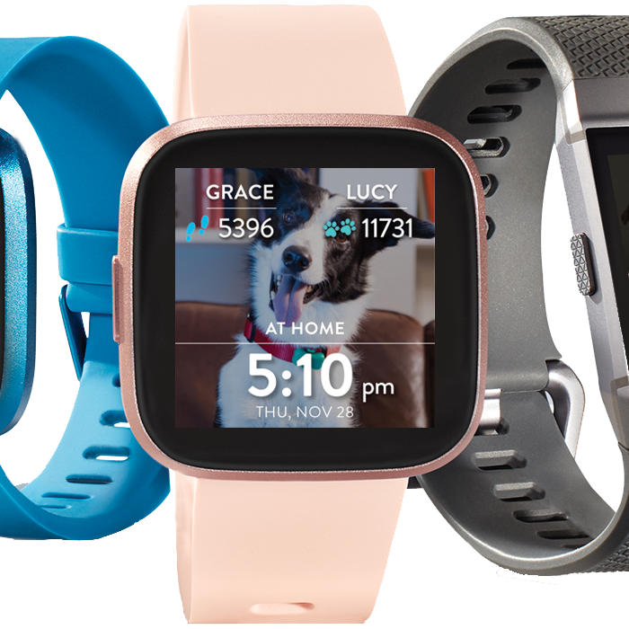 The 7 Best Pet Trackers and GPS Collars