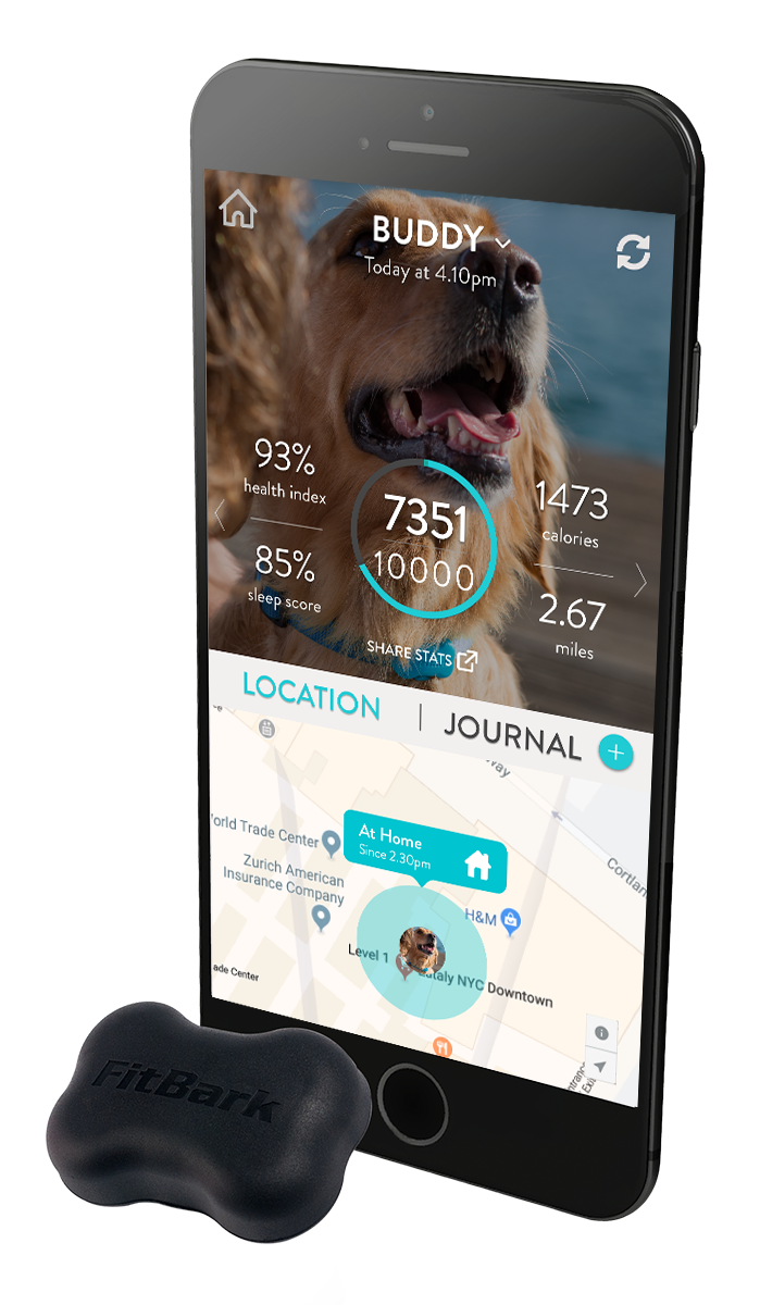 The 7 Best Pet Trackers and GPS Collars