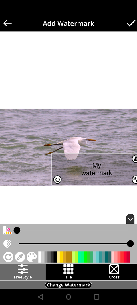 How to Add a Watermark to Your Photos: 5 Different Ways