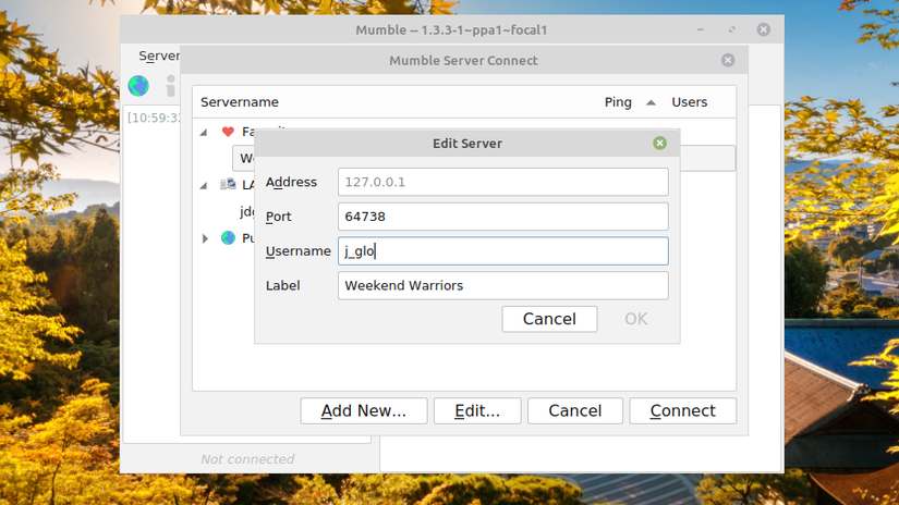 How to Install and Set Up Your Own Mumble Server