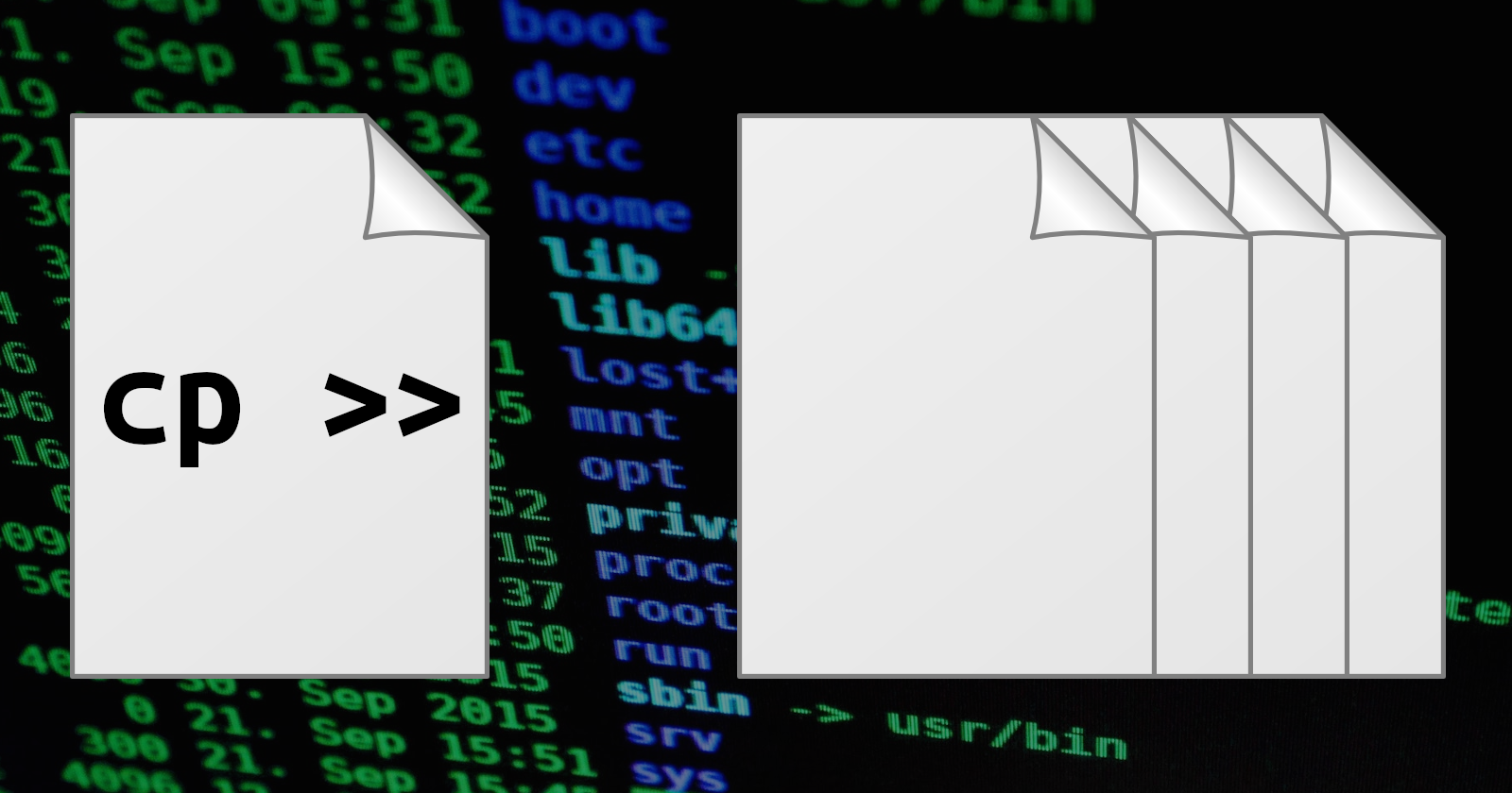 How to Copy Files in Linux With the cp Command