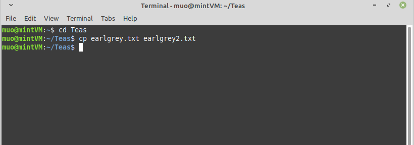 copy log file linux
