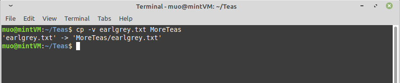 How to Copy Files in Linux With the cp Command