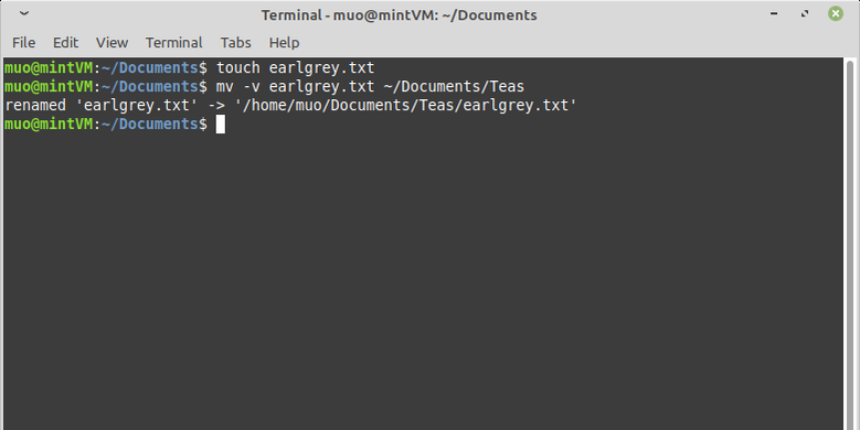 Mv Terminal How to Move Linux Files With the Mv Command
