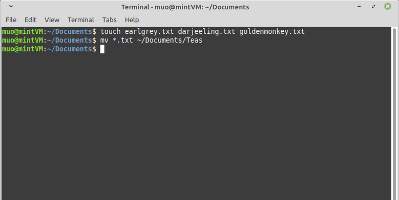 Mv Terminal How to Move Linux Files With the Mv Command