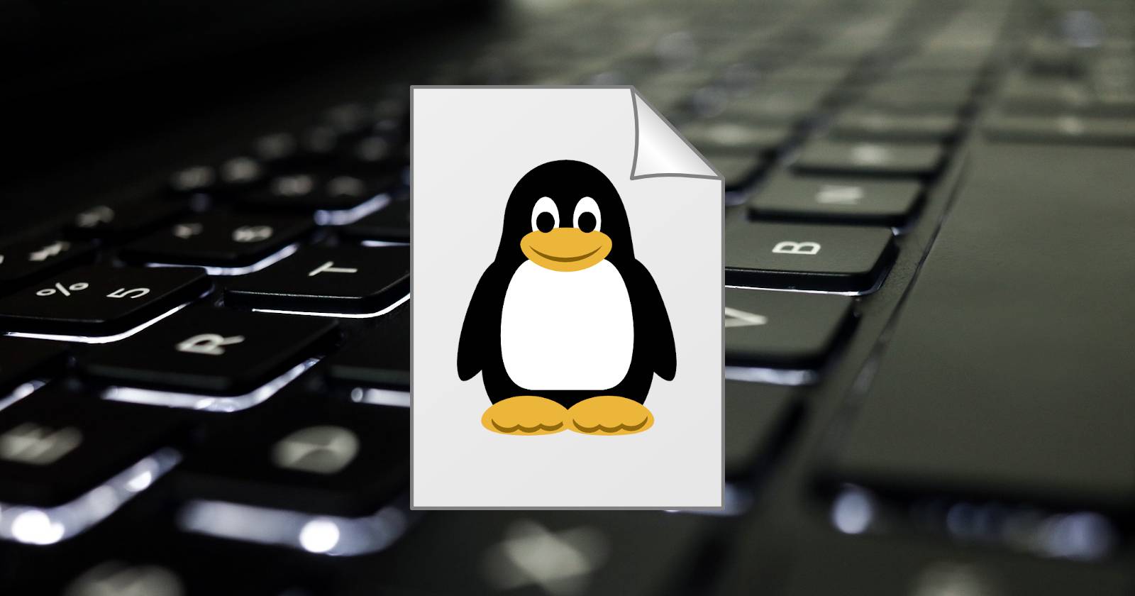 How to Create a New File in Linux
