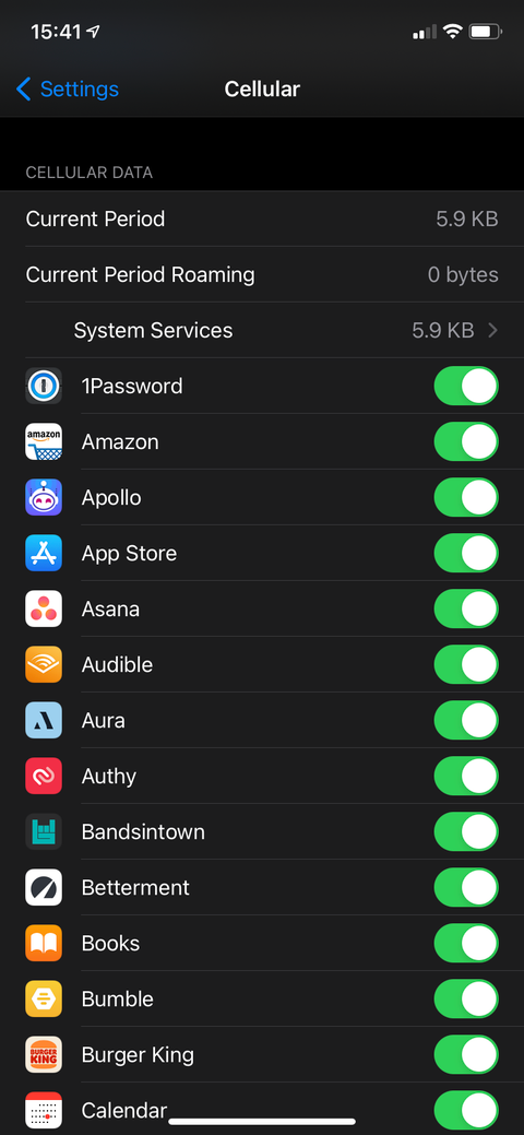 iPhone Cellular App Settings