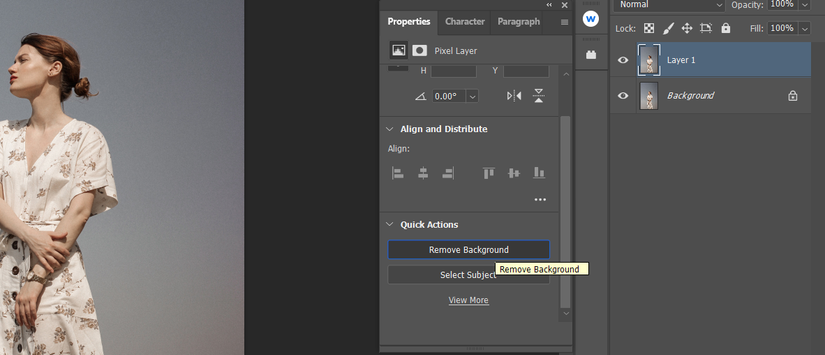 How to Make an Image Background Transparent: 7 Different Ways