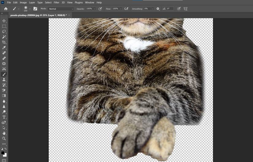 How to Turn Your Pet Photos Into Works of Art in Photoshop