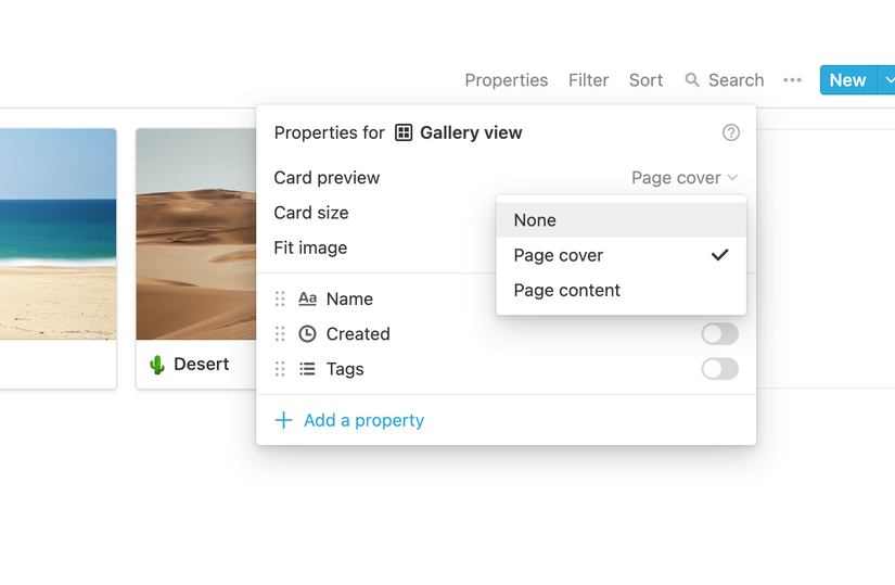 What Are Notion Database Views? How to Use Them